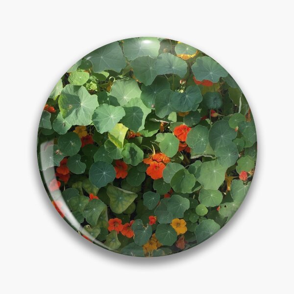 Item preview, Tropaeolum Majus (Indian Cress) designed and sold by ByMaSOLE.
