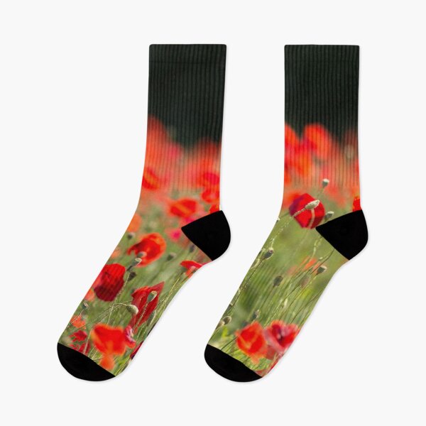 Aperçu de l'œuvre Poppies II créée et vendue par fourretout.