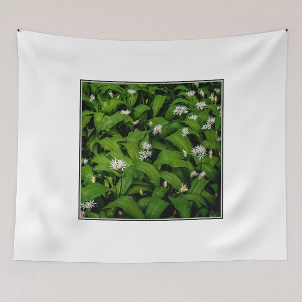 Item preview, Wild Garlic designed and sold by Colin Metcalf.