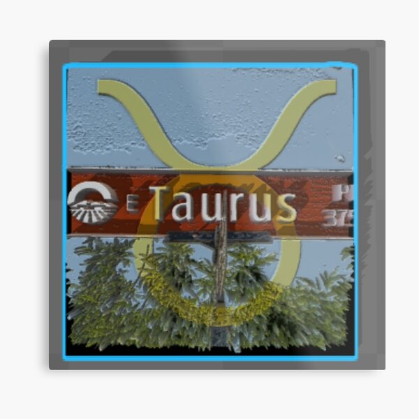 Taurus Place Metal Print