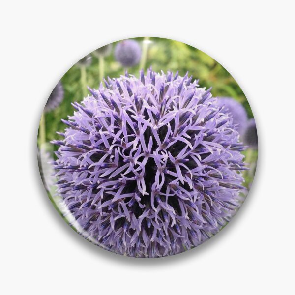 Item preview, Globe Thistle Flower designed and sold by Rachel Imsland.