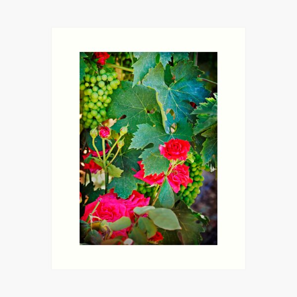 Item preview, Grapes and Roses designed and sold by Lynnette Peizer.