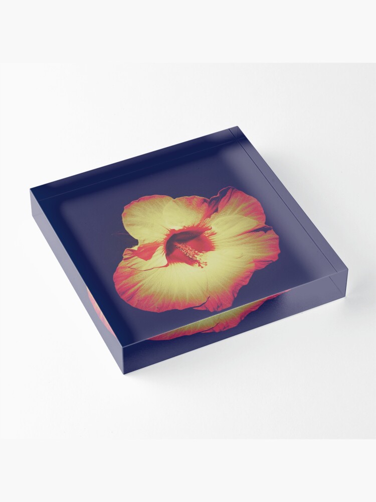 Thumbnail 3 of 5, Acrylic Block, Floral Gift - Single Hibiscus Black Orange and Beige Design designed and sold by OneDayArt.