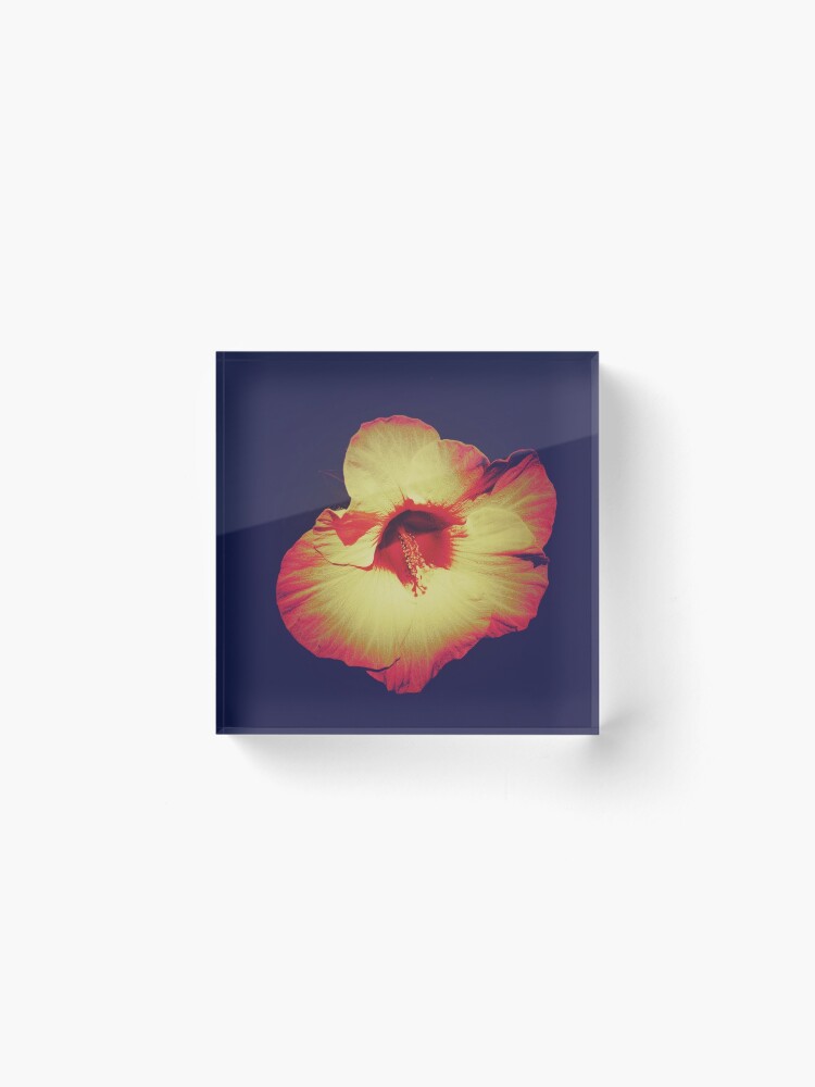 Thumbnail 2 of 5, Acrylic Block, Floral Gift - Single Hibiscus Black Orange and Beige Design designed and sold by OneDayArt.