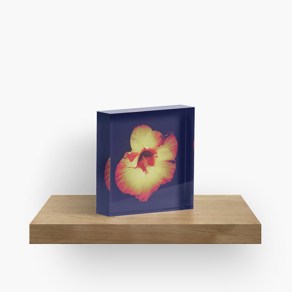 Item preview, Acrylic Block designed and sold by OneDayArt.