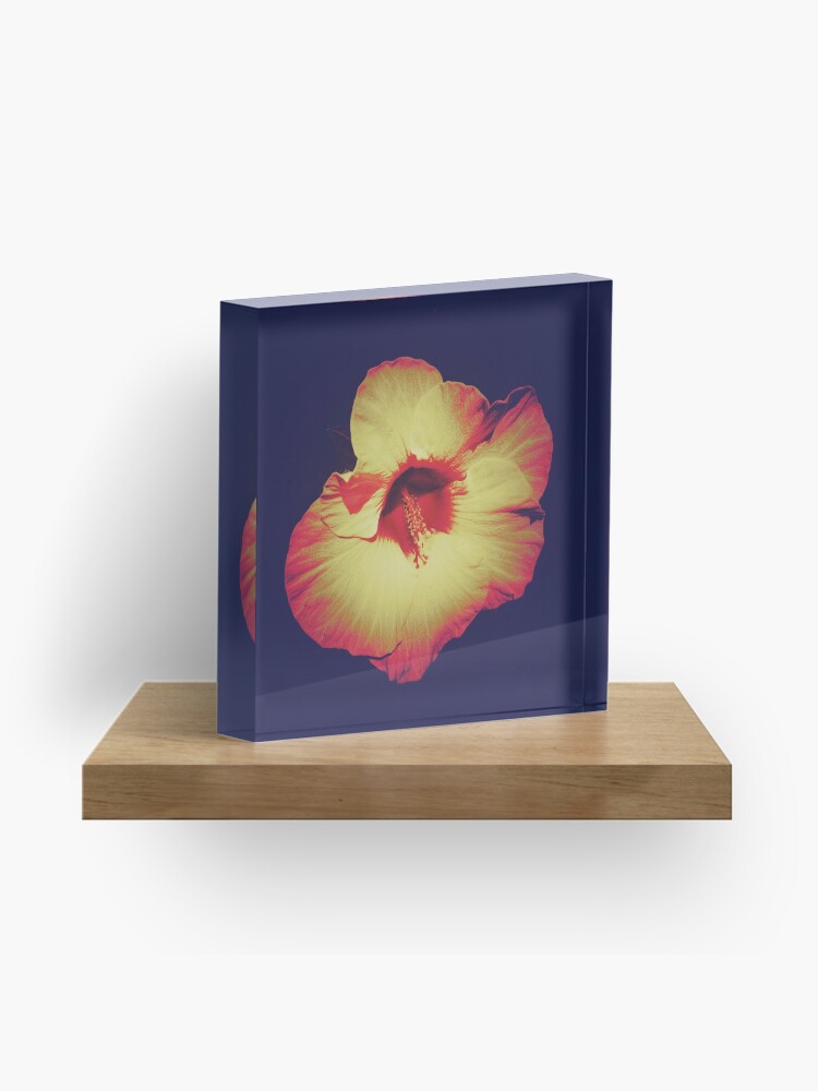 Thumbnail 1 of 5, Acrylic Block, Floral Gift - Single Hibiscus Black Orange and Beige Design designed and sold by OneDayArt.
