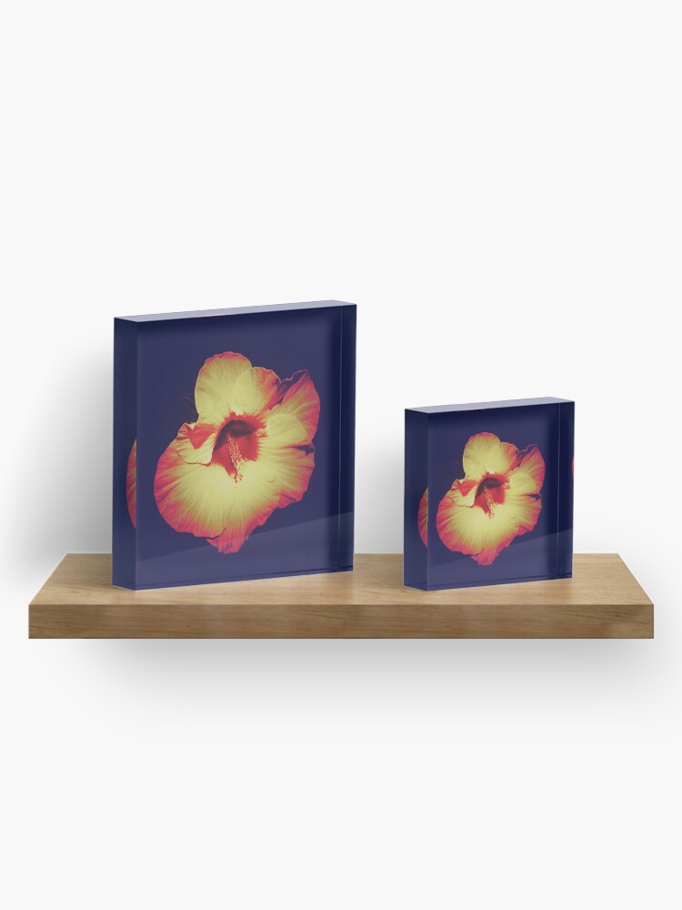 Thumbnail 4 of 5, Acrylic Block, Floral Gift - Single Hibiscus Black Orange and Beige Design designed and sold by OneDayArt.