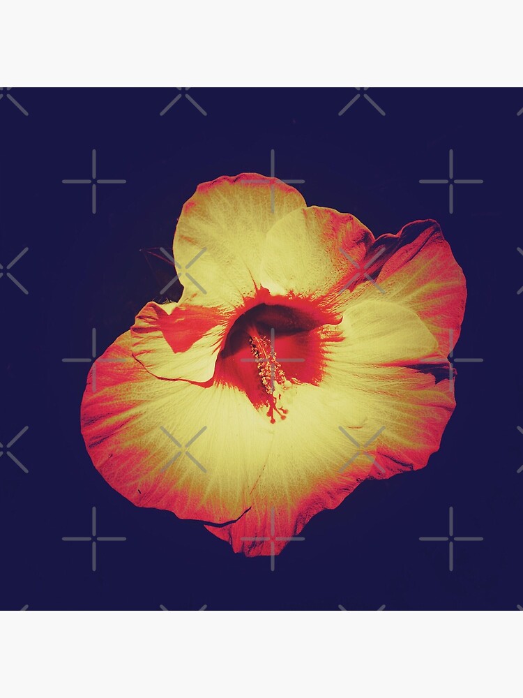 Thumbnail 5 of 5, Acrylic Block, Floral Gift - Single Hibiscus Black Orange and Beige Design designed and sold by OneDayArt.