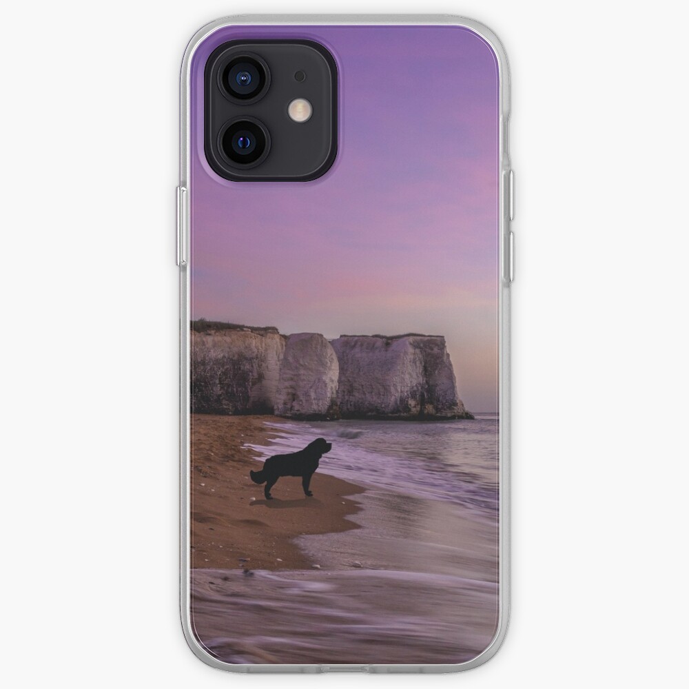 Newfoundland dog at Sunset on the Beach iPhone Case & Cover