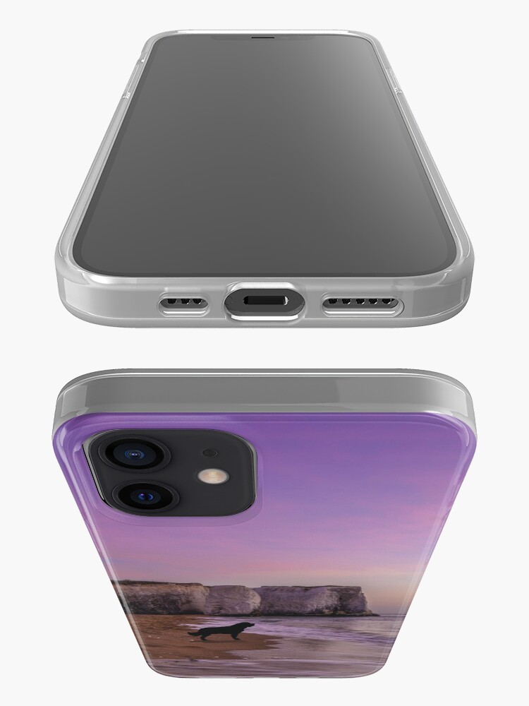 Alternate view of Newfoundland dog at Sunset on the Beach iPhone Case & Cover
