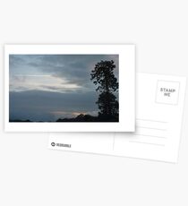 Treeline Postcards