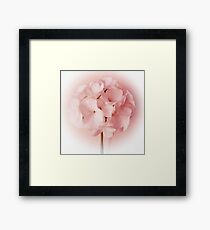 Softness Framed Print