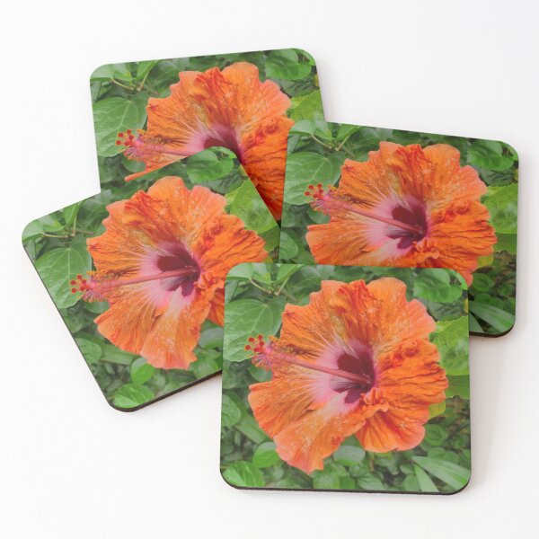 Item preview, Hoi An -  Hibiscus at La Siesta designed and sold by Larry Davis.