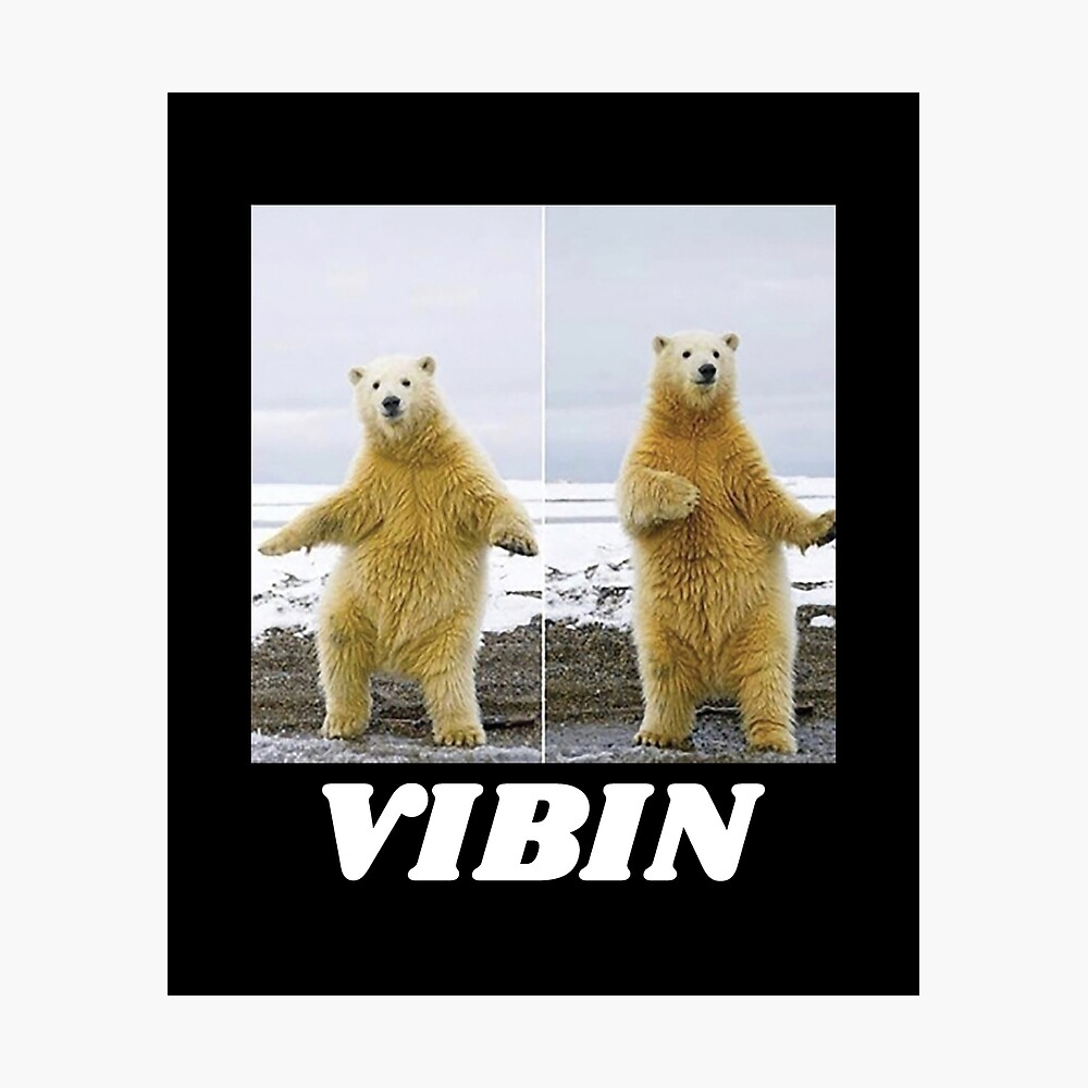 Vibing Polar Bear Meme