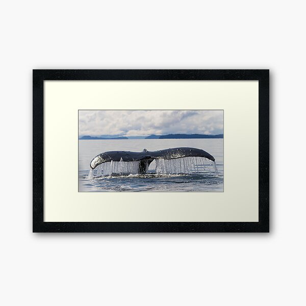 Item preview, Whale Tail designed and sold by Gina Ruttle  (Whalegeek).