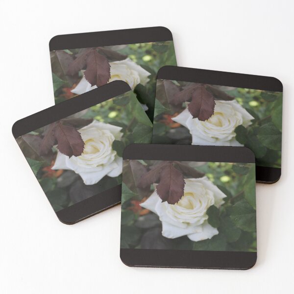 Item preview, White rose  designed and sold by AlyssaAguirre1.