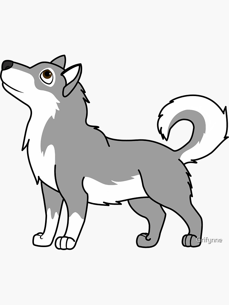 White Gray Alaskan Malamute with Curled Tail
