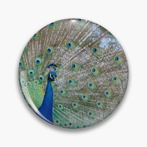 Item preview, Australia - Taronga Zoo Peacock designed and sold by renprovo.