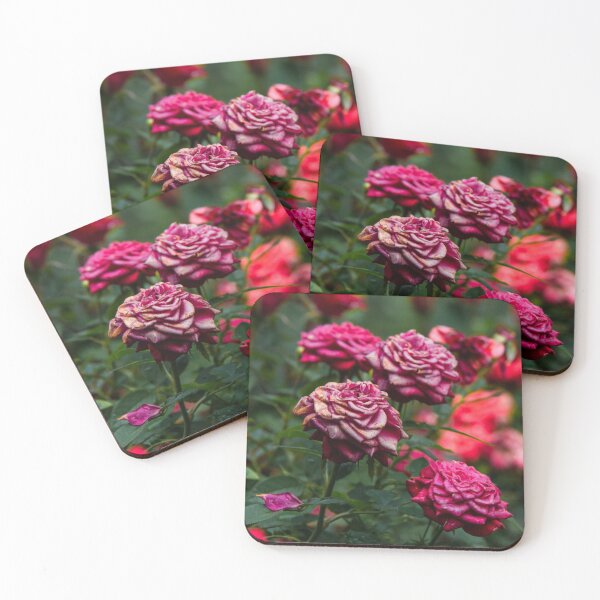 Item preview, fresh flowers designed and sold by analugrosso.