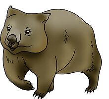 Wombat: Stickers | Redbubble