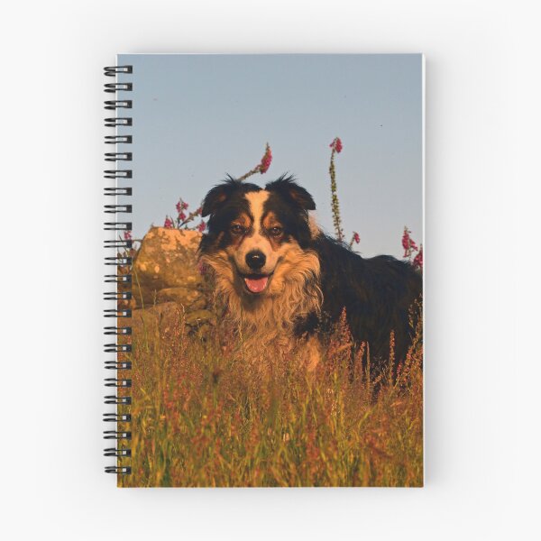 Item preview, Dogs are our link to paradise. designed and sold by Michael Haslam.