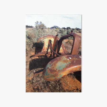 THE BACK PADDOCK Art Board Print