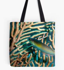 Rainbow Wrasse Tote Bag