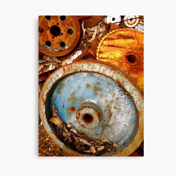 THE NEVER NEVER Canvas Print
