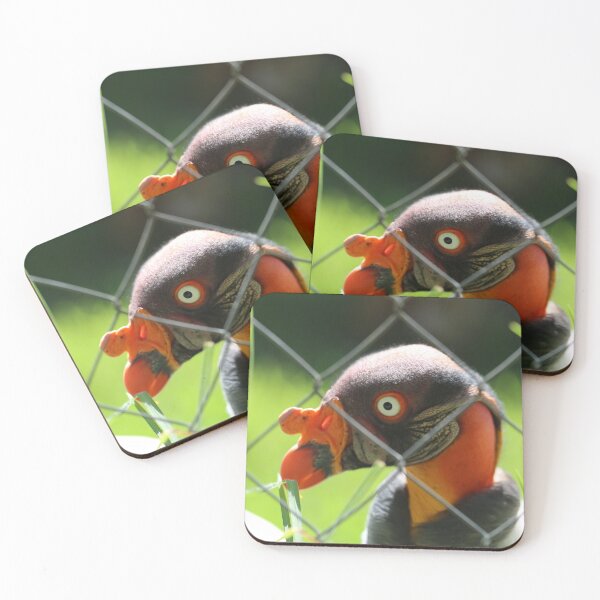 Item preview, Caged King Vulture Near Cape Town designed and sold by renprovo.