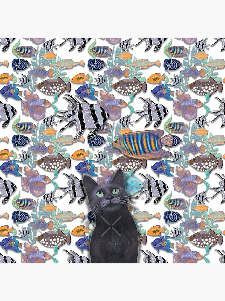 Black cat watching a fish tank by andreeadumez