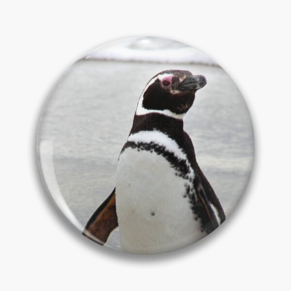 Item preview, Magellanic Penguin Strolling on the Beach designed and sold by Carole-Anne.