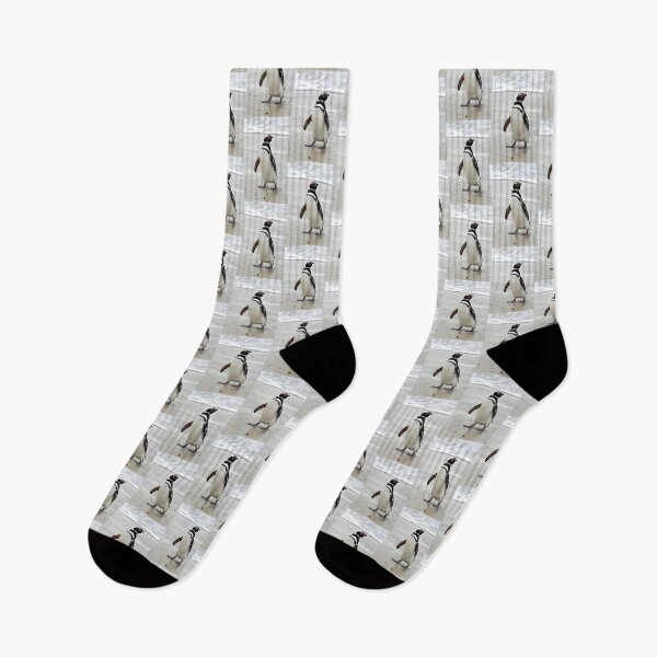Item preview, Magellanic Penguin Strolling on the Beach designed and sold by Carole-Anne.