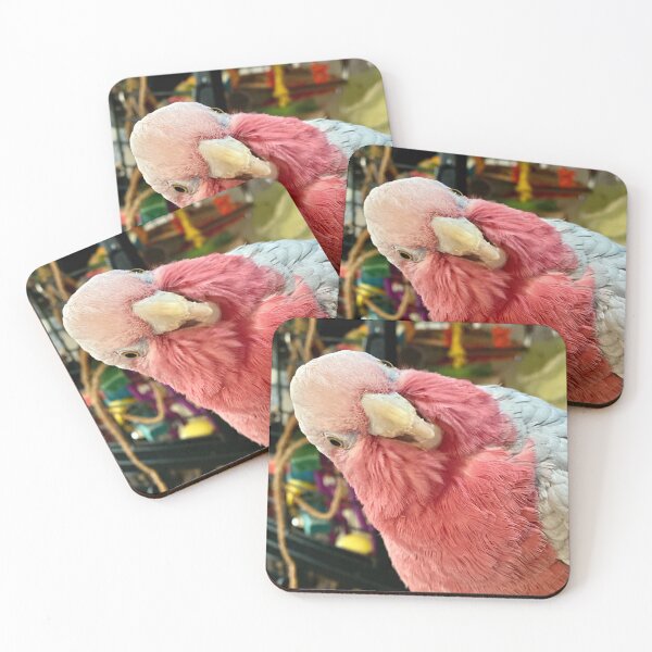 Item preview, Shiraz the Galah Cockatoo! designed and sold by renprovo.