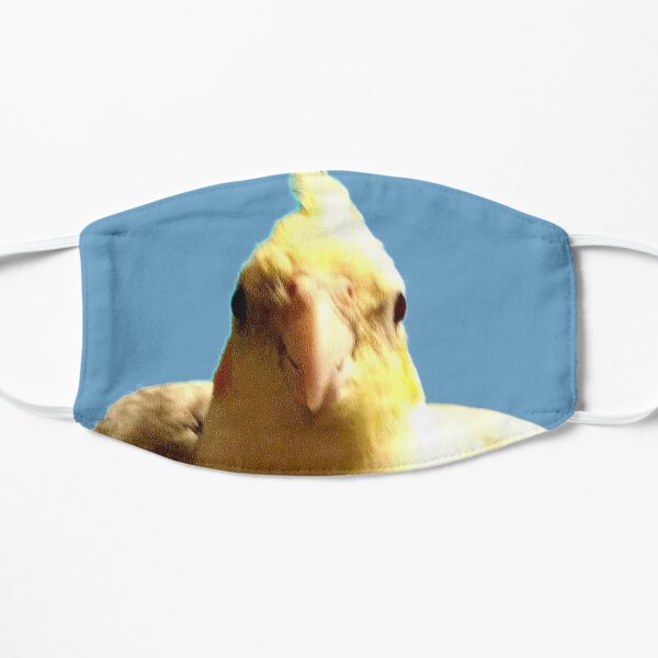 What a cock Flat Mask