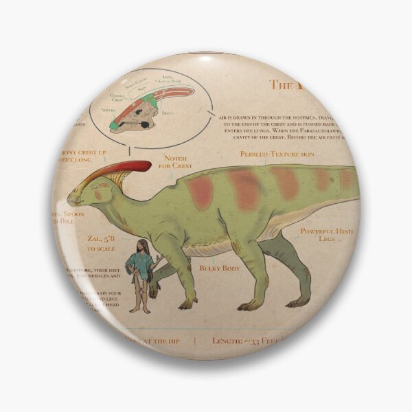 Item preview, Parasaurolophus "Scientific" Poster  designed and sold by Lewis Cade.