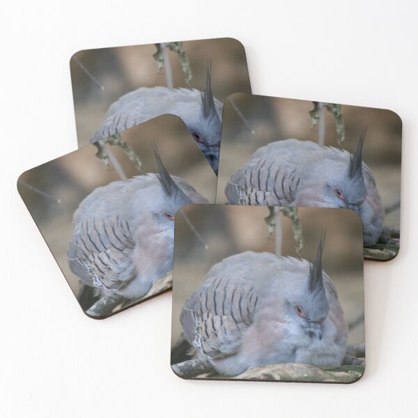 Item preview, Nesting Bird designed and sold by billiebowler.