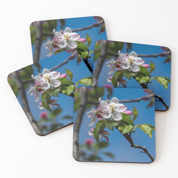 Item preview, Apple Blossom designed and sold by suburbanwilds.