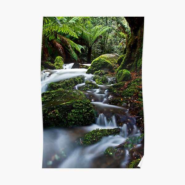 Gem Of The Forest Poster