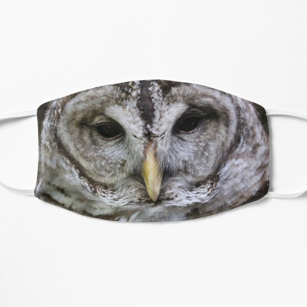 Barred Owl Flat Mask