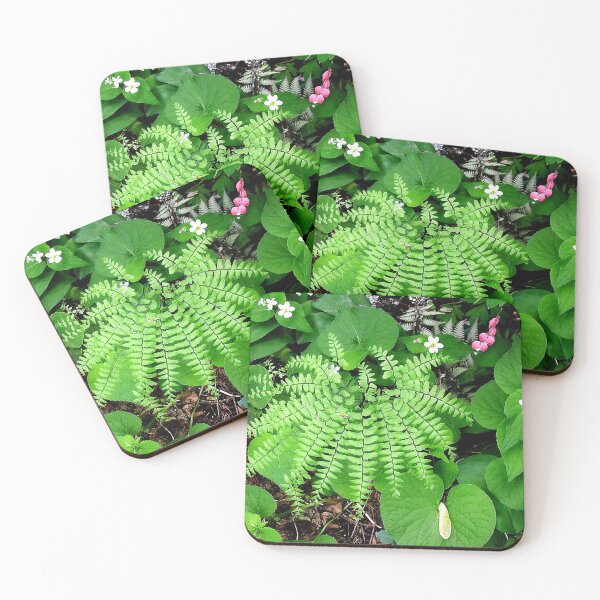 Item preview, Maidenhair Fern, Adiantum Pedatum And Friends designed and sold by rvjames.