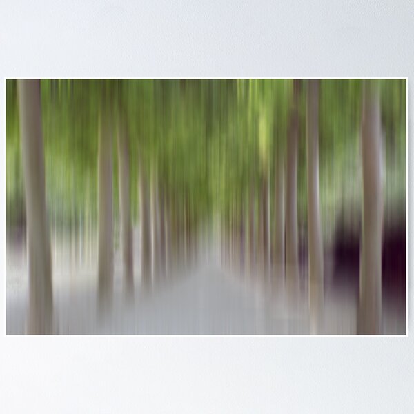 Item preview, Avenue of Trees in Motion, Brussels designed and sold by KUJO-Photo.