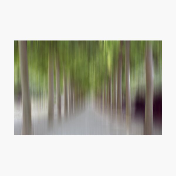 Item preview, Avenue of Trees in Motion, Brussels designed and sold by KUJO-Photo.