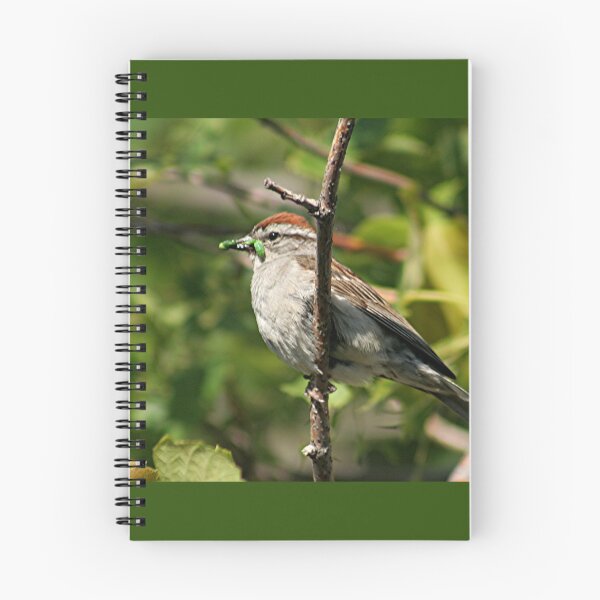 Item preview, Sparrow with green worm  designed and sold by stephenralph.