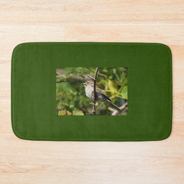 Item preview, Sparrow with green worm  designed and sold by stephenralph.