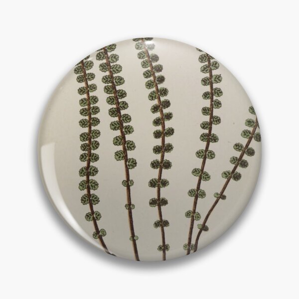 Item preview, Naturalist Fern designed and sold by BlueSpecsStudio.