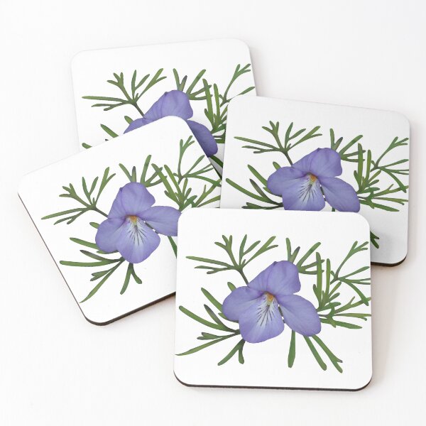 Item preview, Viola Pedata, Birds-foot Violet designed and sold by rvjames.