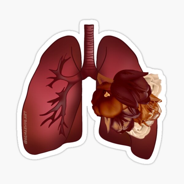 Floral Lungs Sticker