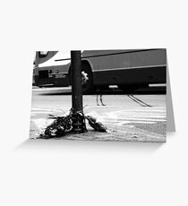 Flowers Greeting Card