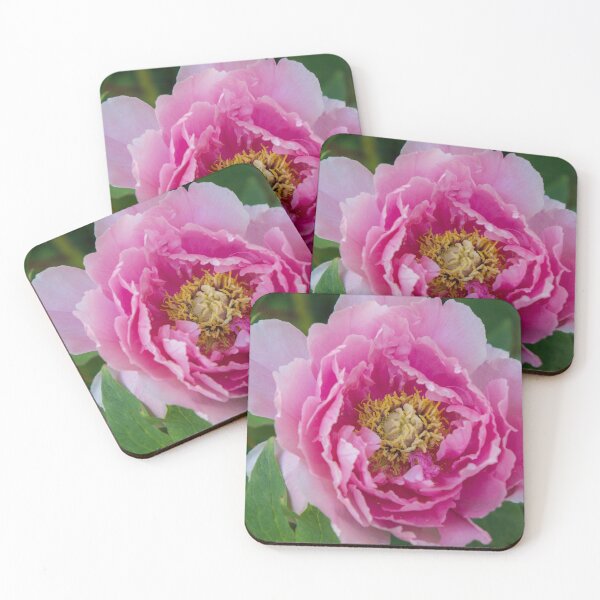 Item preview, Pink Peony Dreams designed and sold by aprilbernphoto.