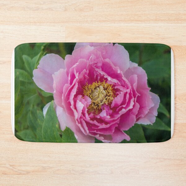 Artikelvorschau, Rosa Pfingstrose Träume entworfen und verkauft von aprilbernphoto.